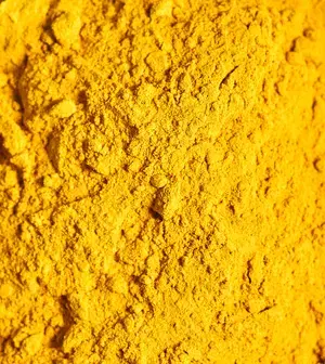 Yellow Pigment